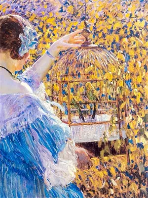 狂怒骑士安国建事迹